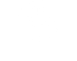 Studio Vamos Oy